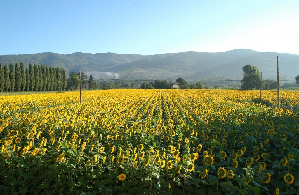 Holiday Home Il Moro Novo Cortona Exterior foto